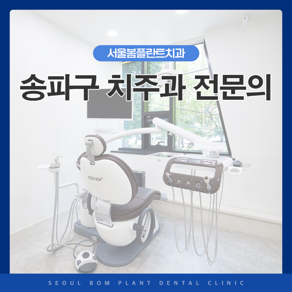 송파구 치주과 전문의